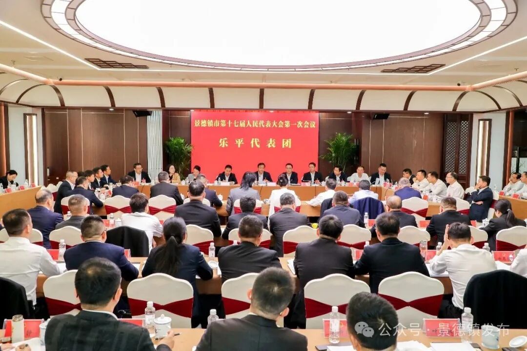 陈克龙参加乐平代表团审议